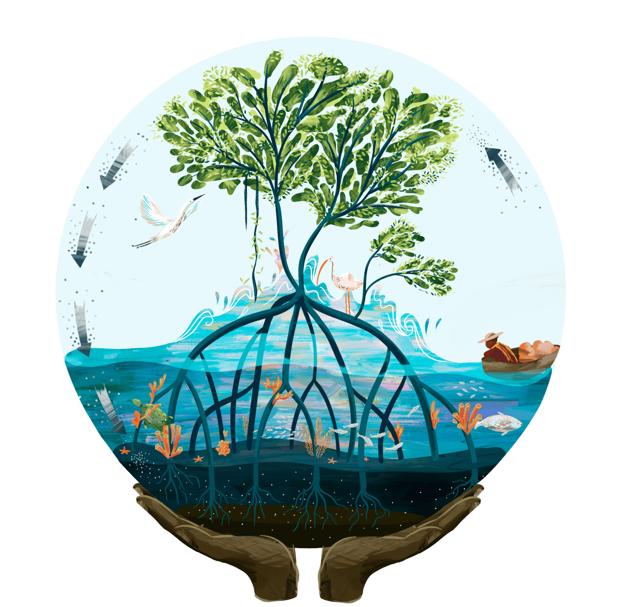 The Future Is Green: How Mangrove Restoration Is Changing Our World - 1bpblll